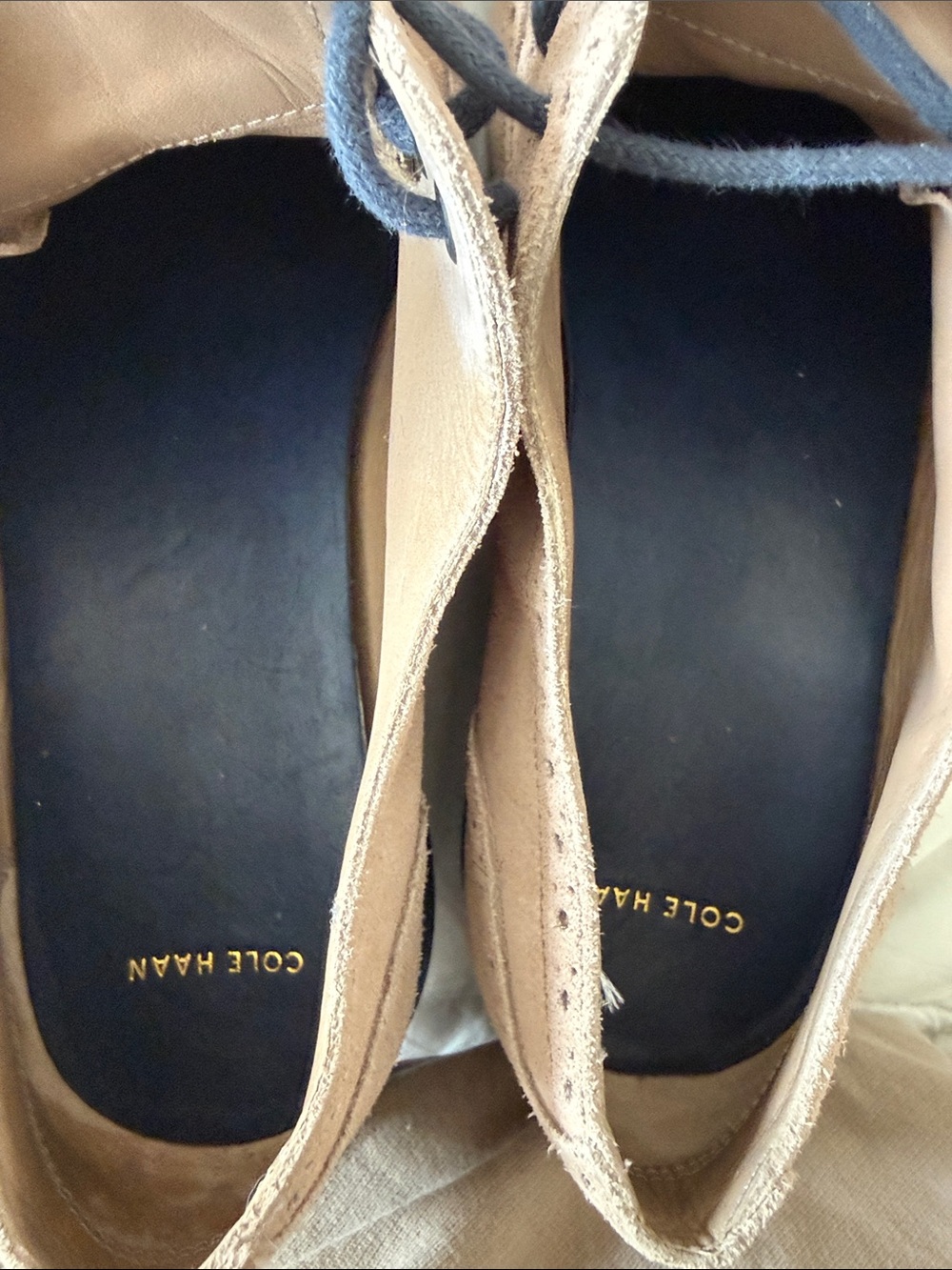 Cole Haan Tan Suede Wingtip Oxfords with Navy Laces - Picture 5 of 5
